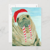 クリスマス・セイウラス シーズンポストカード (正面/裏面)