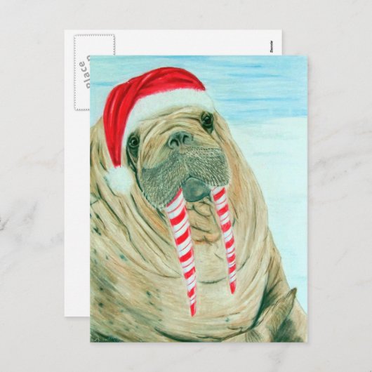 クリスマス・セイウラス シーズンポストカード (正面/裏面)