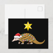 クリスマス センザンコウ サンタ 帽子 オーナメント 星 クリスマス (正面/裏面)
