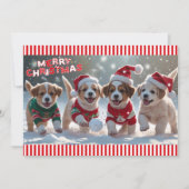 クリスマス・セーターの子犬と雪の帽子 シーズンカード (正面)