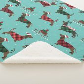 クリスマス・ダックスフント着セーター&サンタハット シェルパブランケット (3/4)