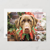 クリスマス – チョコレートラブラドール- Hershey (正面/裏面)