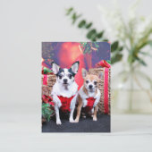 クリスマス – チワモーワモー – と生姜 (スタンド正面)