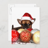 クリスマス・チワワの子犬 シーズンポストカード (正面/裏面)