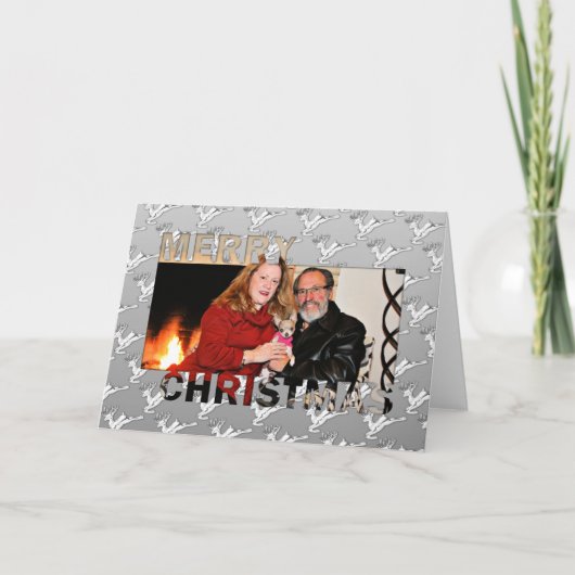 クリスマス – チワワ (正面)