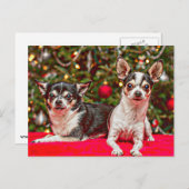 クリスマス・チワワ シーズンポストカード (正面/裏面)