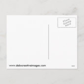 クリスマス・チワワ シーズンポストカード (裏面)