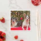 クリスマス・チワワ スタンダードカクテルナプキン (インサイチュ)