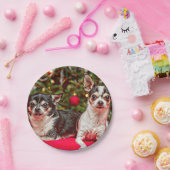 クリスマス・チワワ ペーパープレート (パーティー)