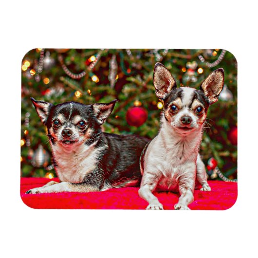 クリスマス・チワワ マグネット (横)