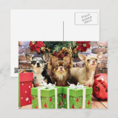 クリスマス – チワワ – 青大切- Yogi (正面/裏面)