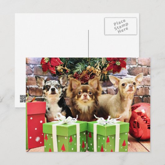 クリスマス – チワワ – 青大切- Yogi (正面/裏面)