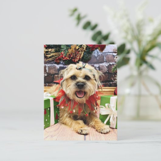 クリスマス – テ縁どリア- Reagan (スタンド正面)