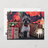 クリスマス-デキスター-ケルン シーズンポストカード (正面/裏面)