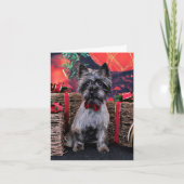 クリスマス – デクスター – ケアン (正面)