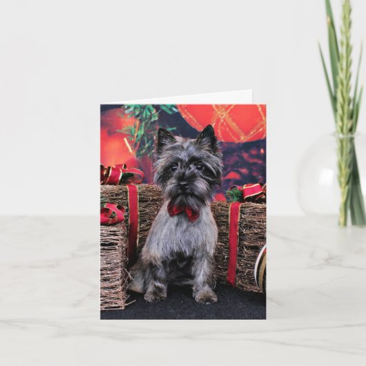 クリスマス – デクスター – ケアン (正面)