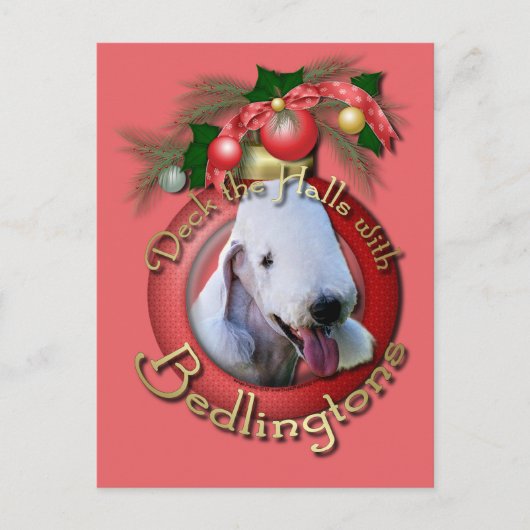 クリスマス-デッキホール- Bedlingtons シーズンポストカード (正面)