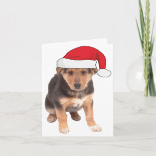 クリスマス – ドイツの羊飼い犬