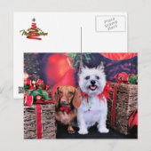 クリスマス – ドキシーブッチ – Cirn Stella (正面/裏面)