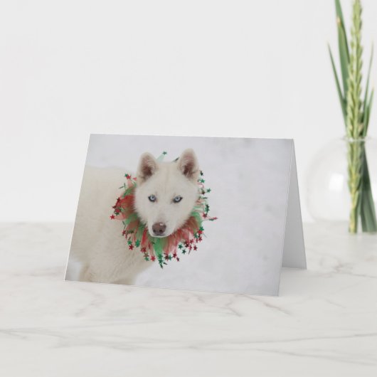 クリスマス·ドッグ カード (正面)