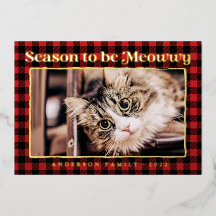 クリスマス＆ニューイヤー プレイド ユニーク 猫 写真