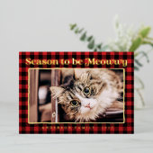 クリスマス＆ニューイヤー プレイド ユニーク 猫 写真 箔シーズンカード (立ち正面)