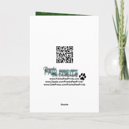 クリスマス – ハバニーズ – Mason (裏面)