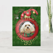 クリスマス – ハバニーズ – Mason (正面)