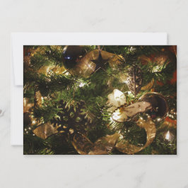 クリスマス・バタフライ シーズンカード