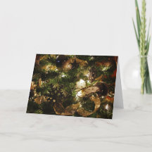 クリスマス・バタフライ