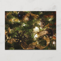 クリスマス・バタフライ