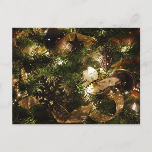 クリスマス・バタフライ シーズンポストカード (正面)