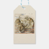 クリスマス・バニー・ラビット ギフトタグ (裏面)