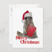 クリスマス・バンディット・ラクーン(プレゼント) シーズンポストカード (正面/裏面)