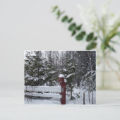 クリスマス・バードハウスを待っている シーズンポストカード (スタンド正面)