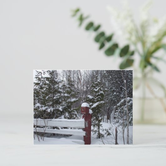 クリスマス・バードハウスを待っている シーズンポストカード (スタンド正面)