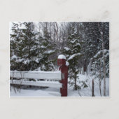 クリスマス・バードハウスを待っている シーズンポストカード (正面)
