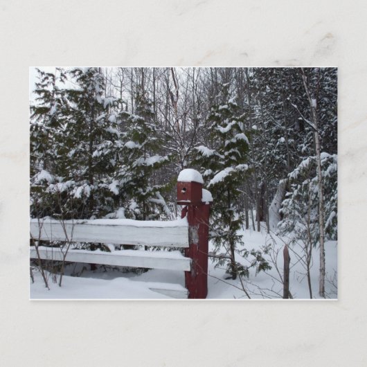 クリスマス・バードハウスを待っている シーズンポストカード (正面)