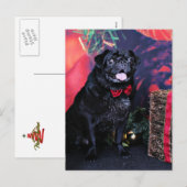 クリスマス – パグ – リトルモー (正面/裏面)