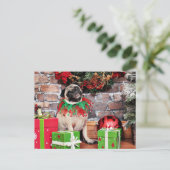 クリスマス – パグ – リリー・ルー (スタンド正面)