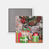 クリスマス – パグ – リリー・ルー マグネット (正面/裏面)