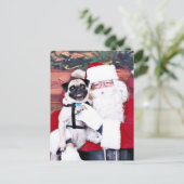 クリスマス-パグ- Harvey シーズンポストカード (スタンド正面)