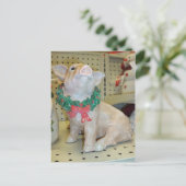 クリスマス・ピグ シーズンポストカード (スタンド正面)