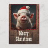 クリスマス・ピグ ポストカード (正面)