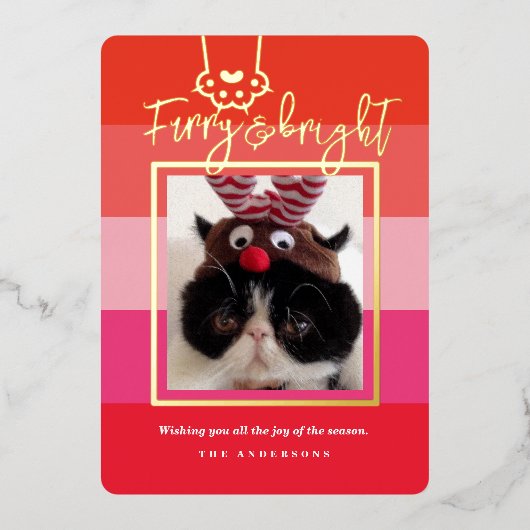 クリスマス ファーリー&ブライト ペットフォト レッド 箔シーズンカード (正面)