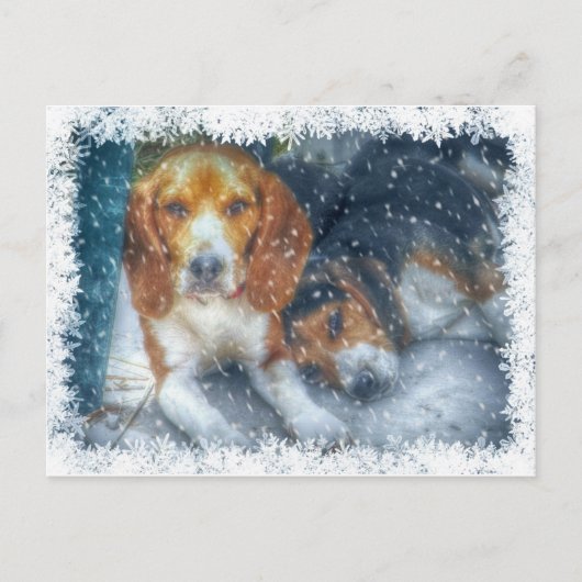 クリスマス・ブラザーズ シーズンポストカード (正面)