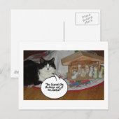 クリスマス・ブラック&ホワイト・キャット・ユーモア シーズンポストカード (正面/裏面)