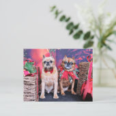 クリスマス – ブリュッセル・グリフォン – Marv and Marge (スタンド正面)