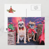 クリスマス – ブリュッセル・グリフォン – Marv and Marge (正面/裏面)