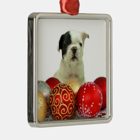 クリスマス·ブルドフランスのッグ メタルオーナメント (右)